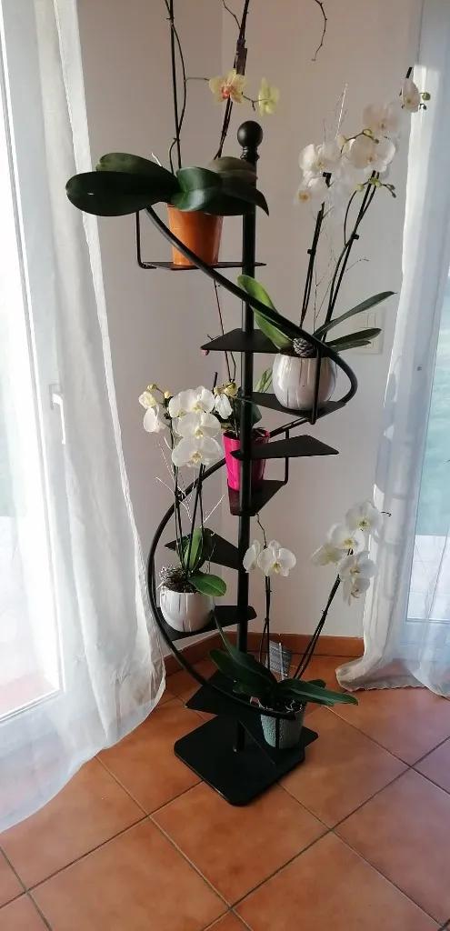 Porte-plante en Spirale en Acier Brut